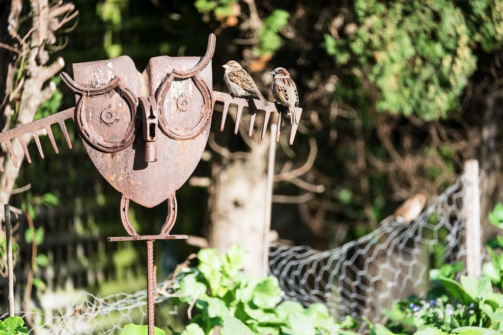 Merrijig Inn Порт Феъри Екстериор снимка